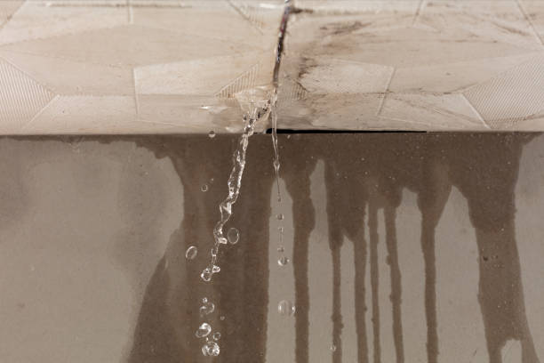 Professional Water Damage Repair technician working in Greensboro, IN